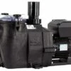 Hayward RS 2 VSTD Variabele Zwembadpomp